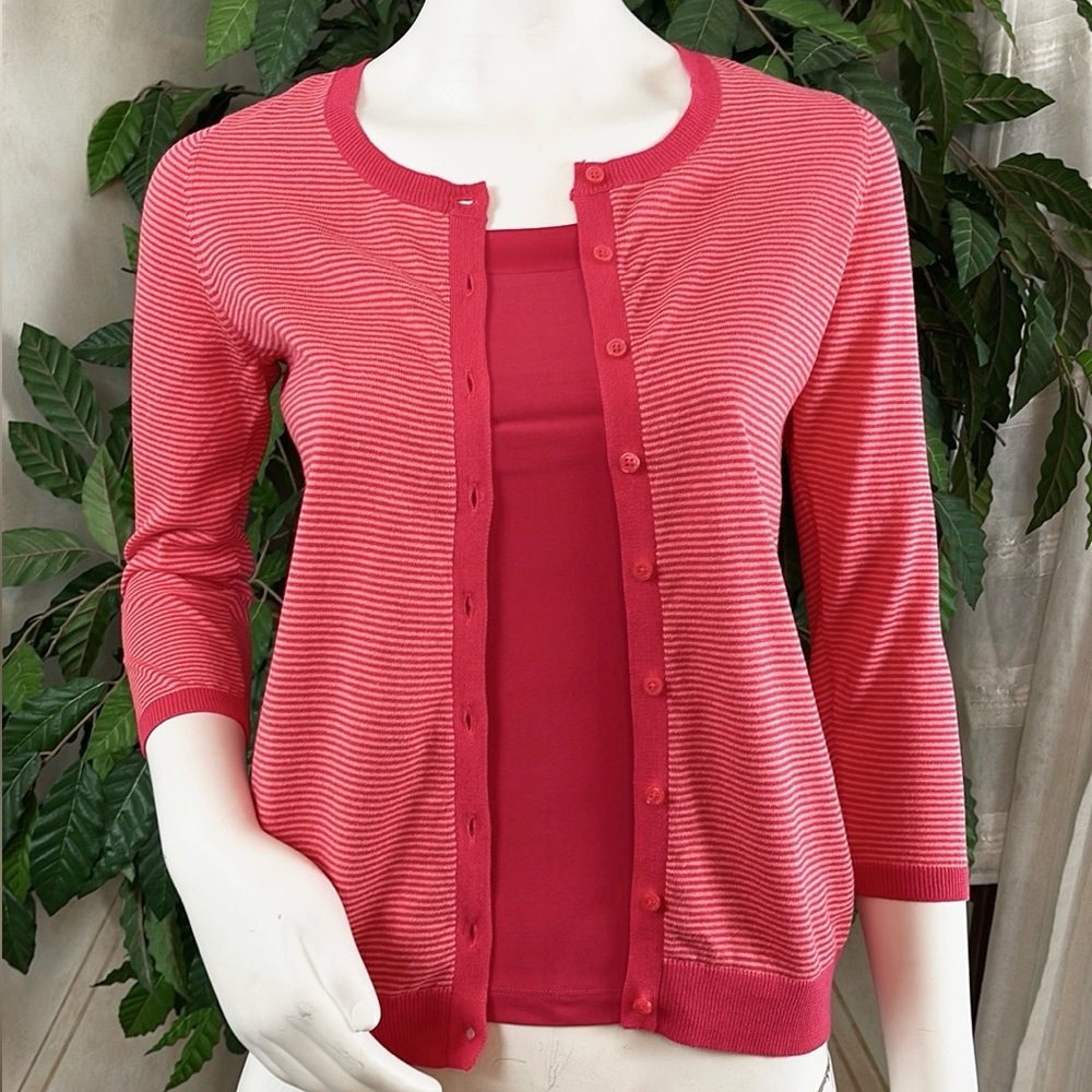 THE LIMITED STRIPED COTTON SWEATER & CAMISOLE SET